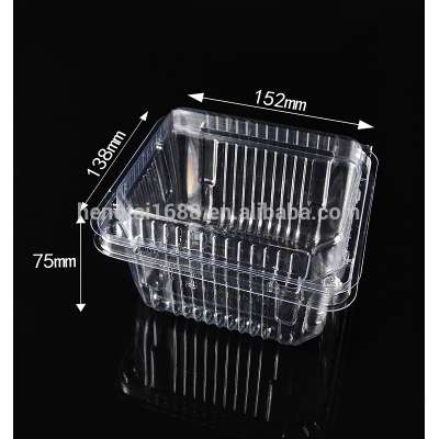 Clear Disposable Clamshell Plastic fruits and vegetable trays HTD1513(75)