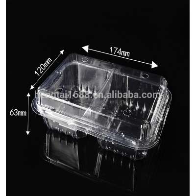 Disposable two compartment plastic fruit packing boxs HTD1712(63)