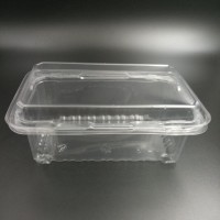 disposable fruit plastic container