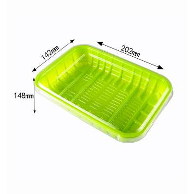 plastic disposable tray